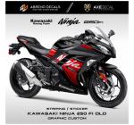 KAWASAKI NINJA 250CC (NEW CAR)
